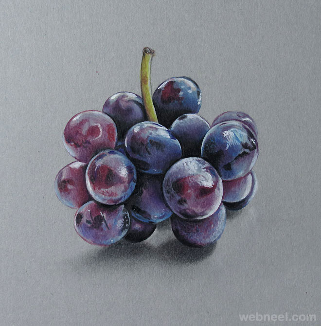 660x670 Colored Pencil Drawing Fruits 18 - Pencil Sketch Of Fruits