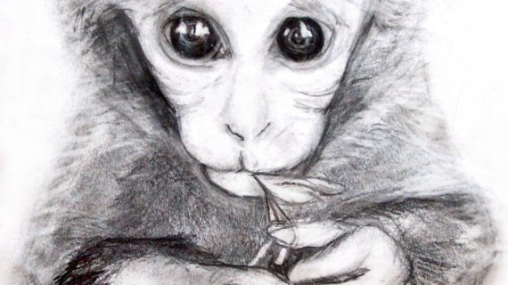 570x320 Monkey Pencil Sketch Monkey Drawing - Pencil Sketch Of Monkey