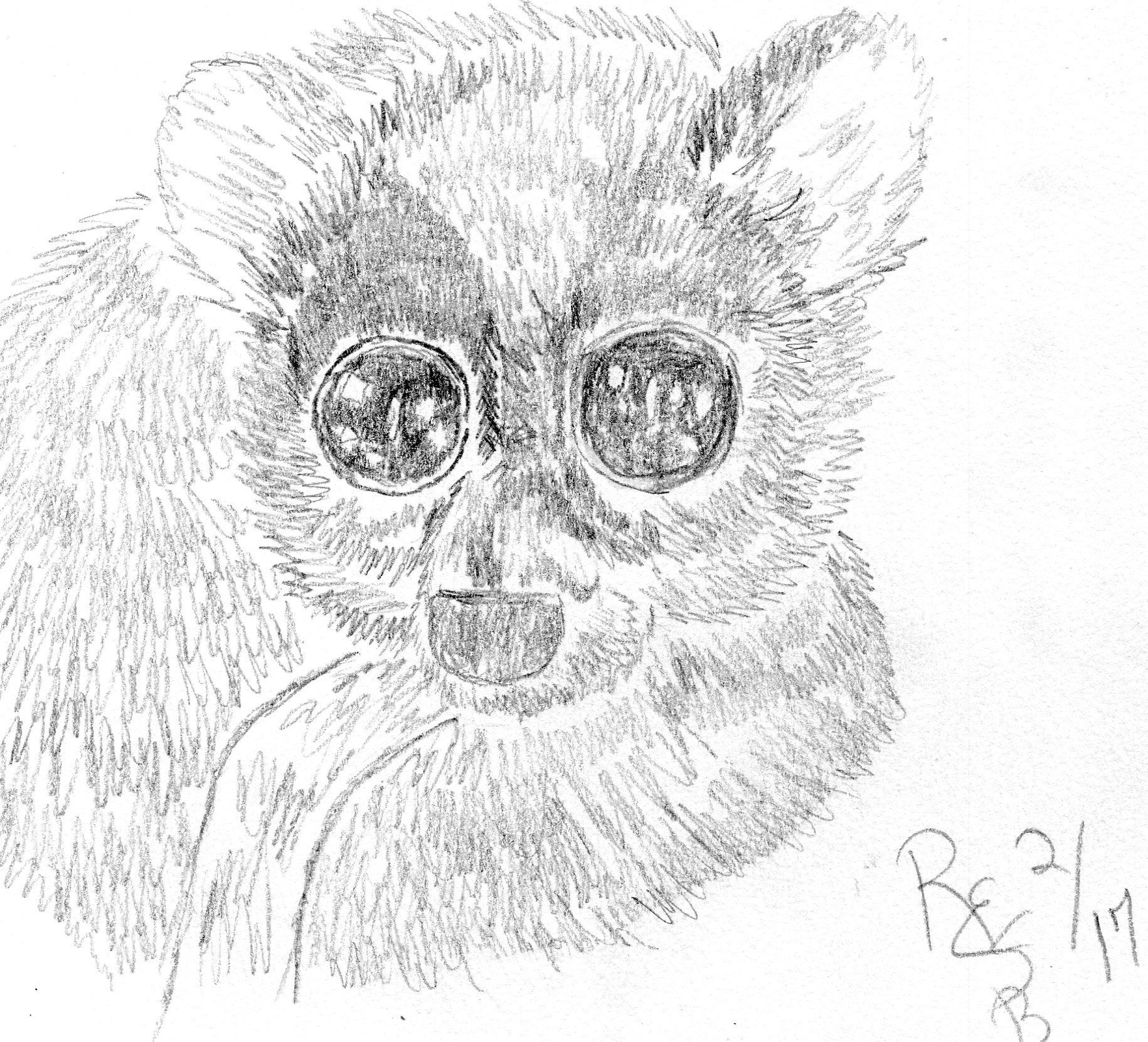 1830x1661 Pencil Sketch Of Monkey Loras Monkey My Original Art Work - Pencil Sketch Of Monkey
