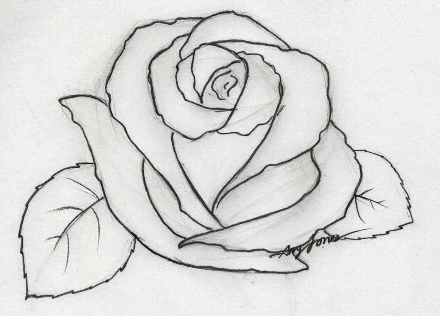 Pencil Sketch Of Rose Flower at PaintingValley.com | Explore collection ...