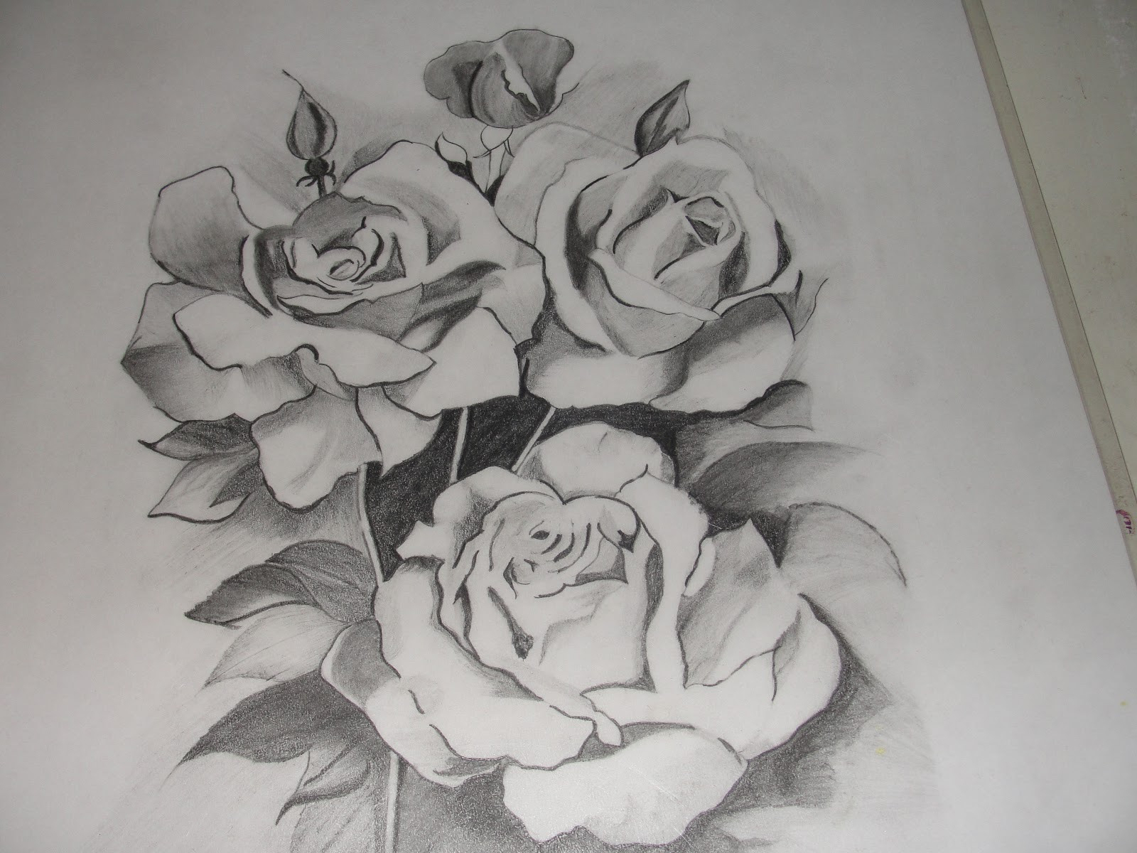 Pencil Sketch Of Rose Flower at Explore collection