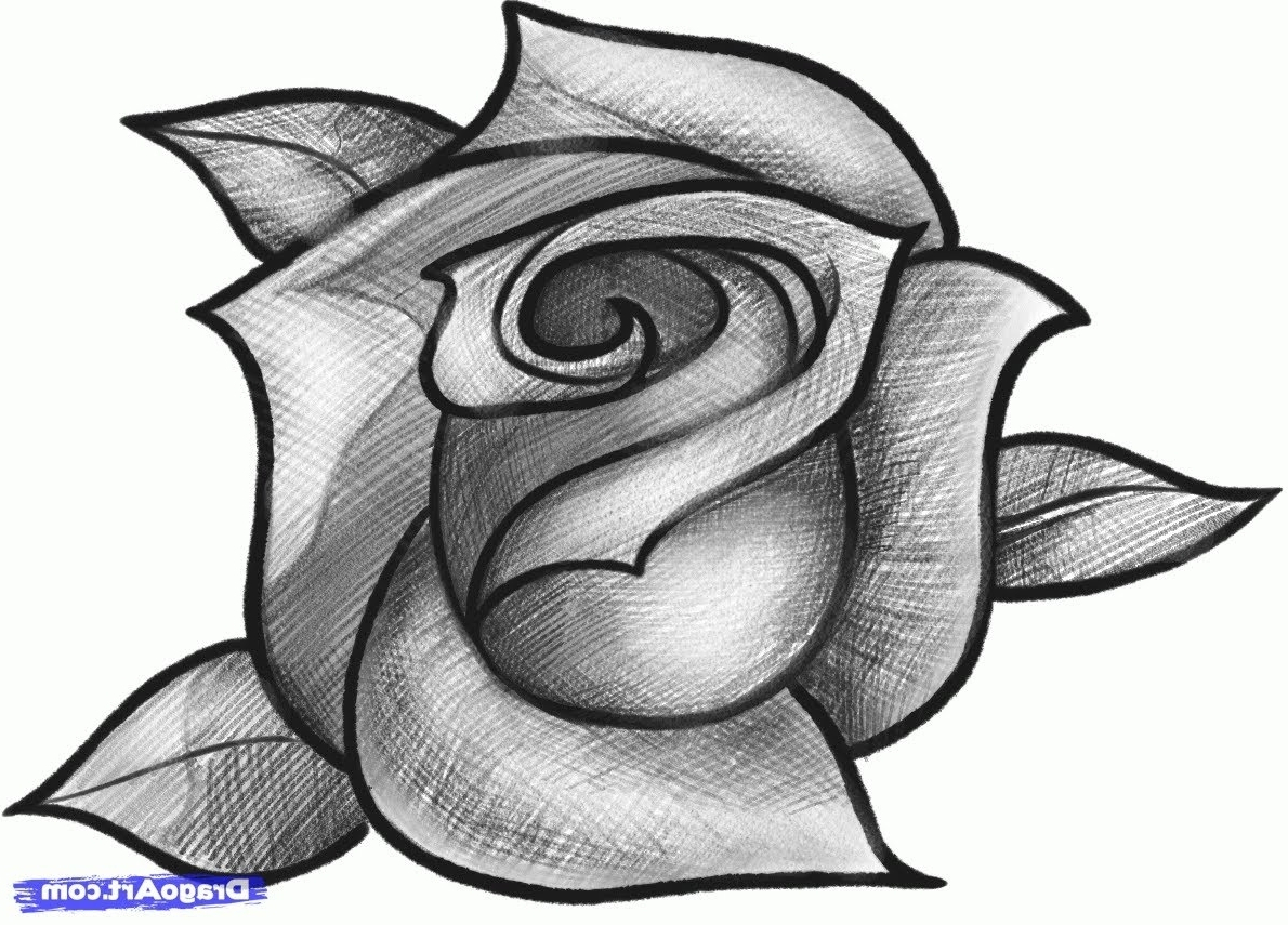 Pencil Sketch Of Rose Flower At