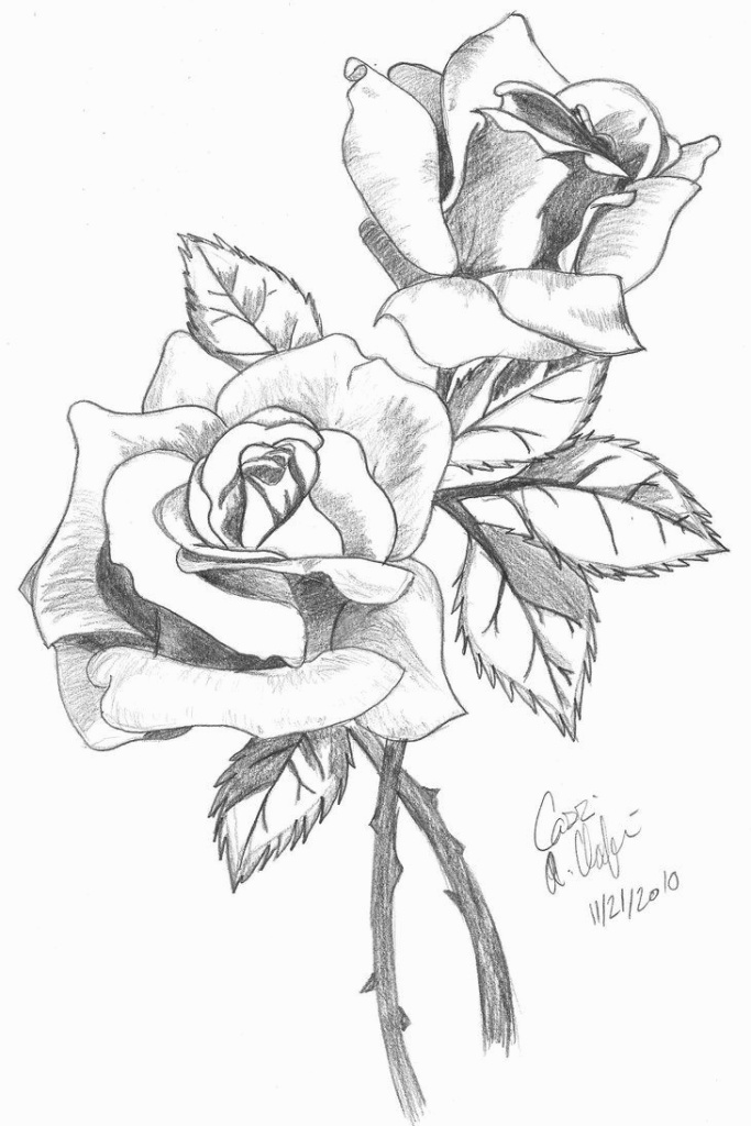 Pencil Sketch Of Rose Flower at PaintingValley.com | Explore collection