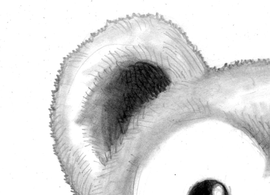 912x662 Drawn Teddy Bear Pencil - Pencil Sketch Of Teddy Bear