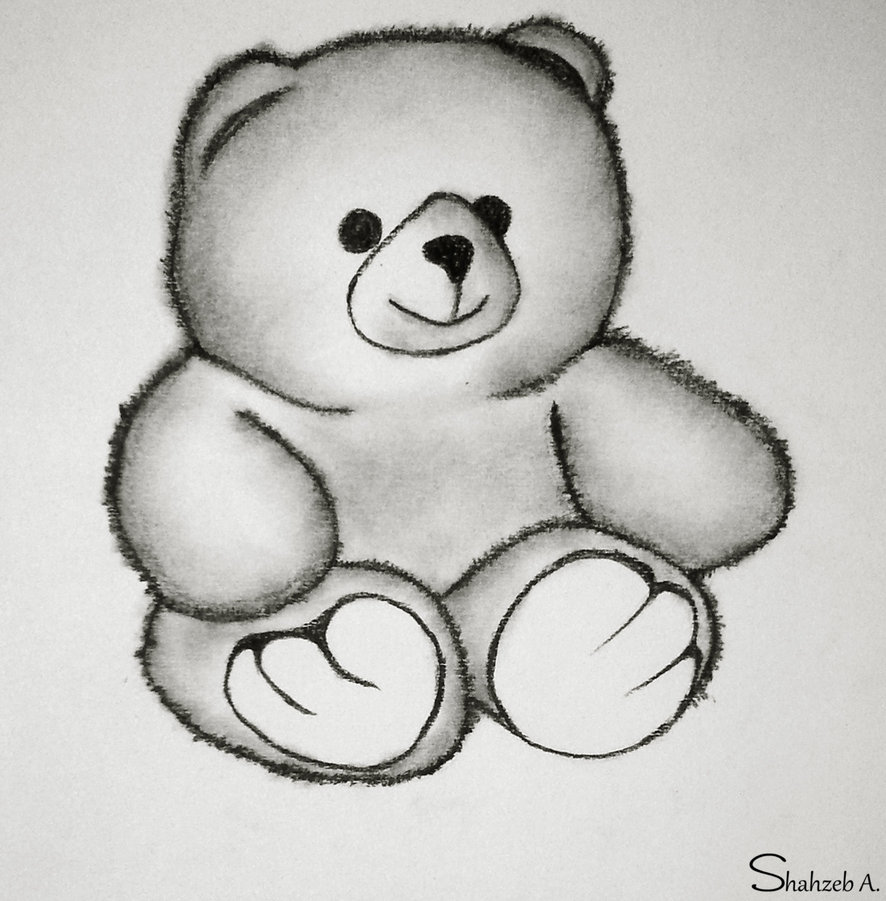 886x901 Pencil Drawings Of Teddy Bears - Pencil Sketch Of Teddy Bear