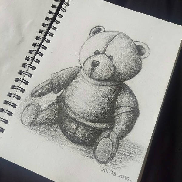 600x600 Teddy Bear Drawings - Pencil Sketch Of Teddy Bear
