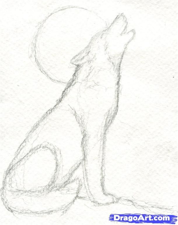 610x768 Step 5. How To Draw A Howling Wolf Random In 2018 - Pencil Sketch Of Wolf