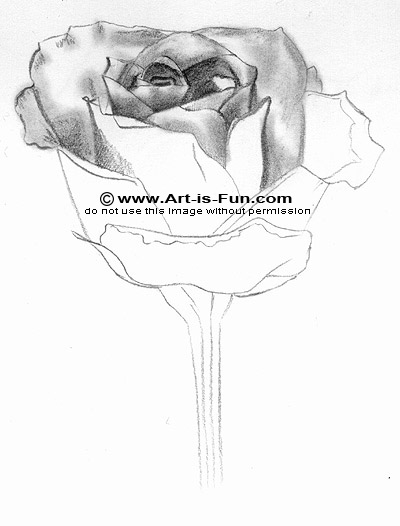 400x526 Drawn Rose Pencil Outline - Pencil Sketch Outline