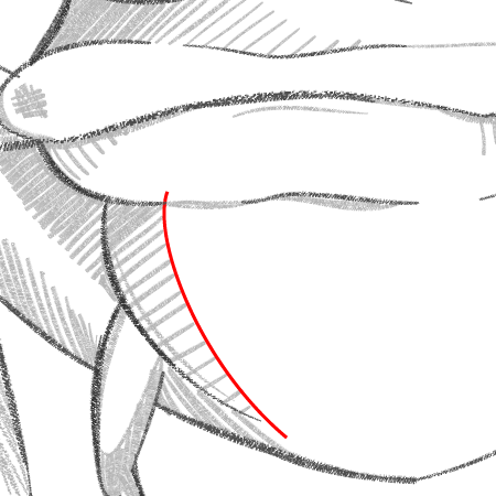 450x450 How To Create A Vector Artwork In The Style Of Pencil Drawing - Pencil Sketch Outline