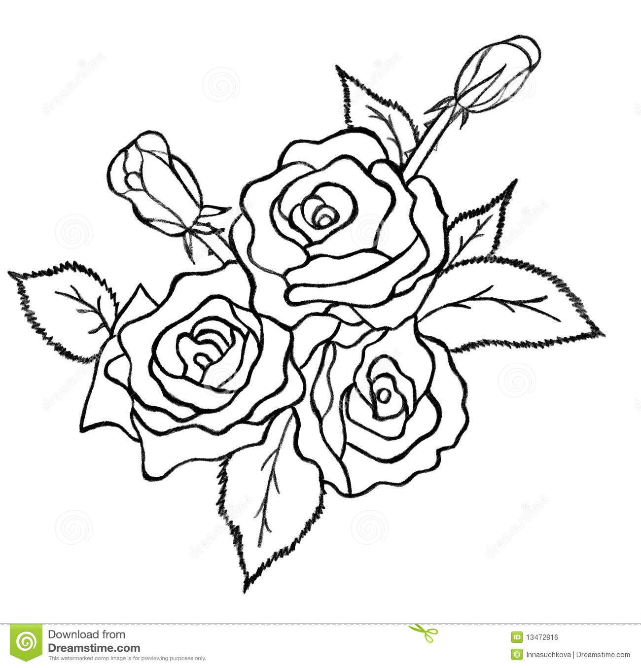 1300x1355 Photos Pencil Outline Flowers Bunch, - Pencil Sketch Outline