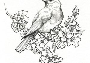 Featured image of post Easy Pencil Shading Drawings Of Birds : How to draw an easy scenery for beginners easy pencil shading for beginners birds on the window drawing and shading for beginners pencil drawing and shading.