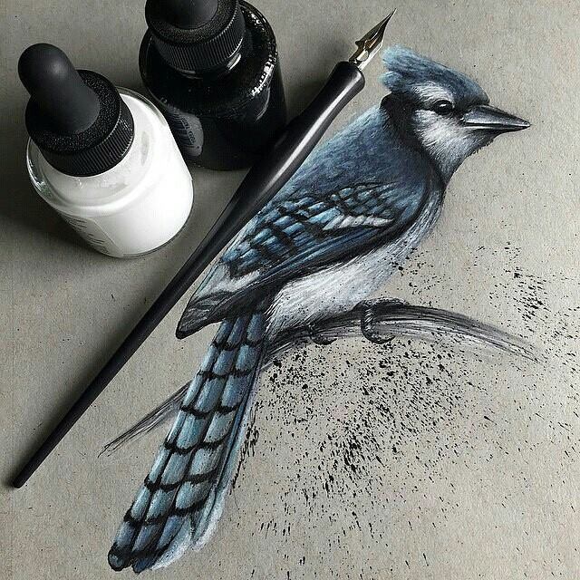 640x640 40 Beautiful Bird Drawings And Art Works For Your Inspiration - Pencil Sketch Pictures Of Birds