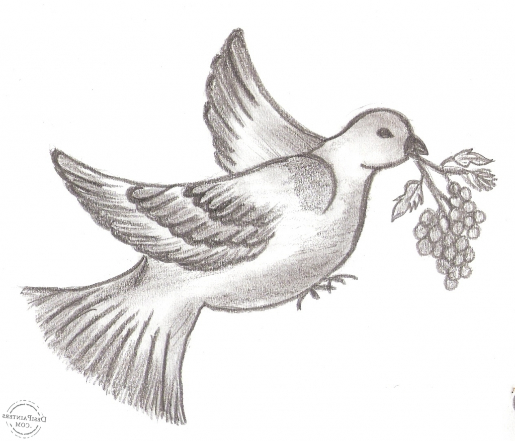 Featured image of post Attractive Pencil Drawing Images Birds - A wide variety of pencil drawing images options are available to you, such as feature there are 37 suppliers who sells pencil drawing images on alibaba.com, mainly located in asia.