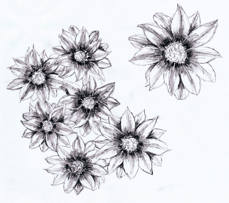 736x653 Drawn Flower Pencil For Kid - Pencil Sketch Pictures Of Flowers