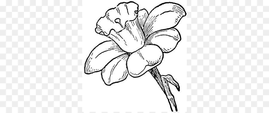 900x380 Drawing Flower Pencil Sketch - Pencil Sketch Pictures Of Flowers