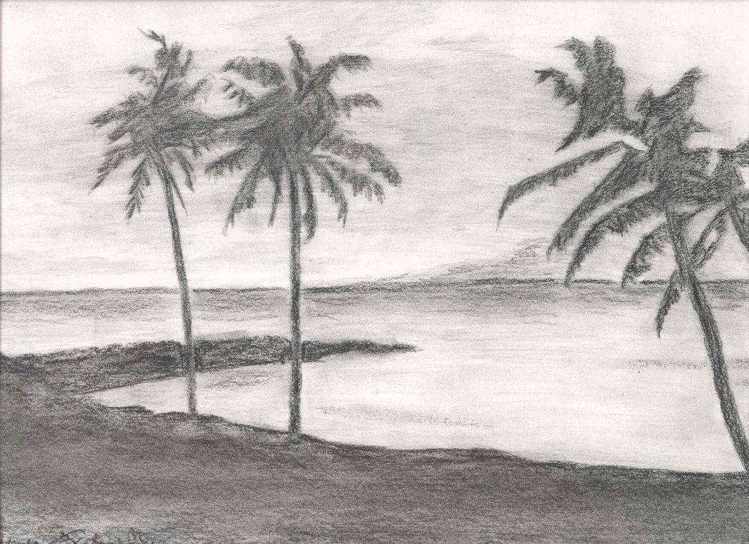 pencil nature scenery drawing