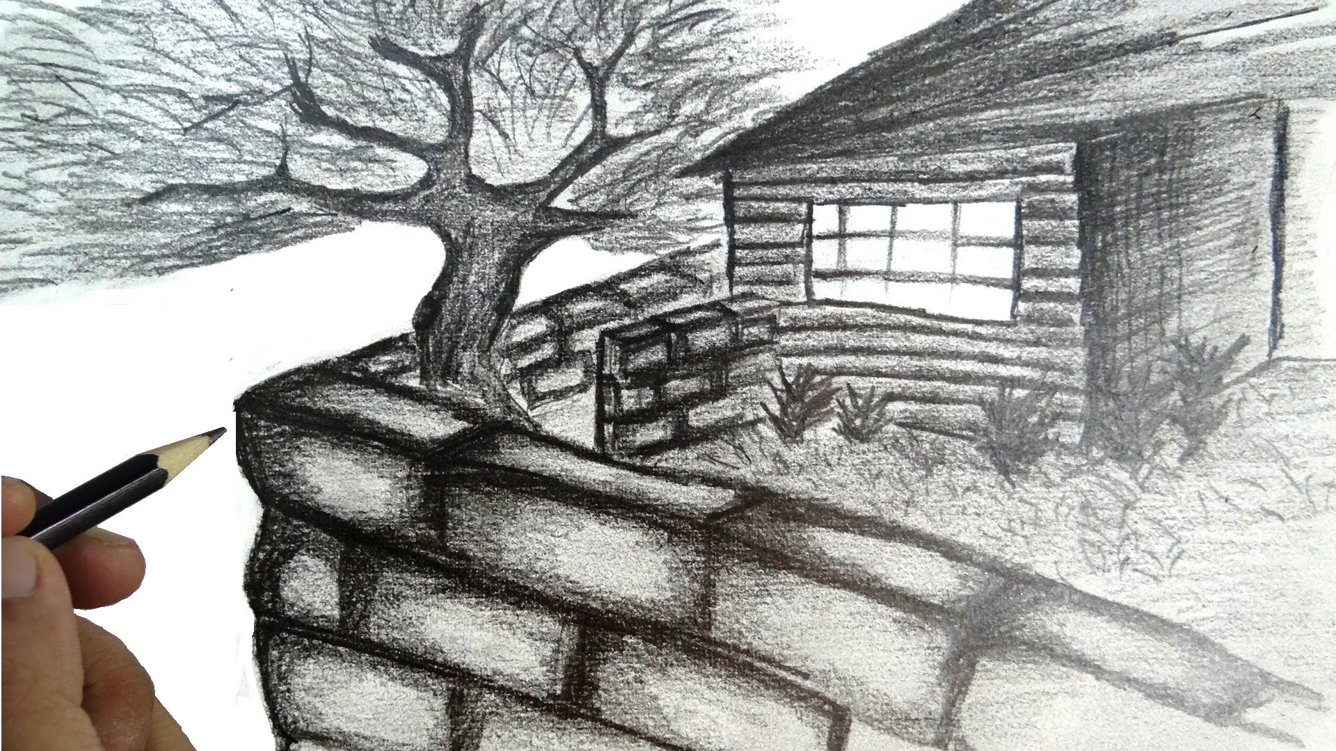 3d pencil sketch drawing nature