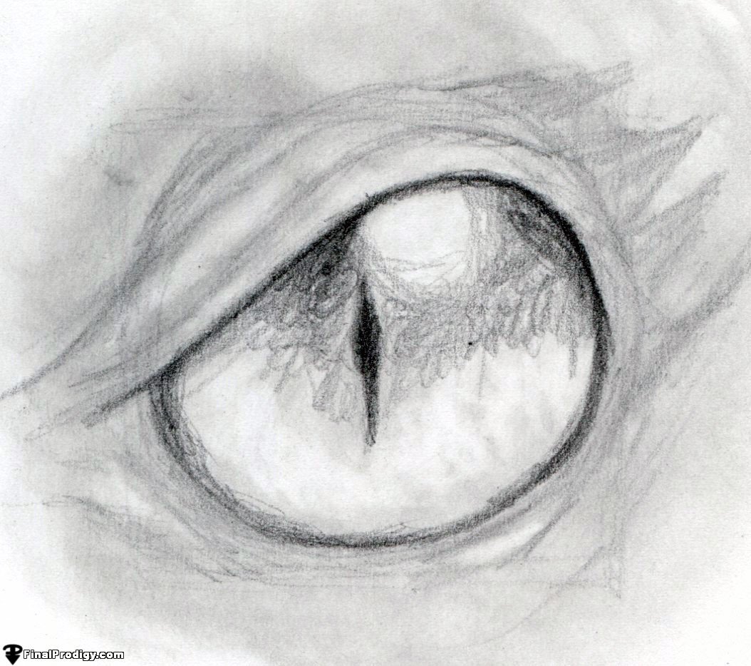 1054x934 How To Draw A Dragon Eye - Pencil Sketch Step By Step