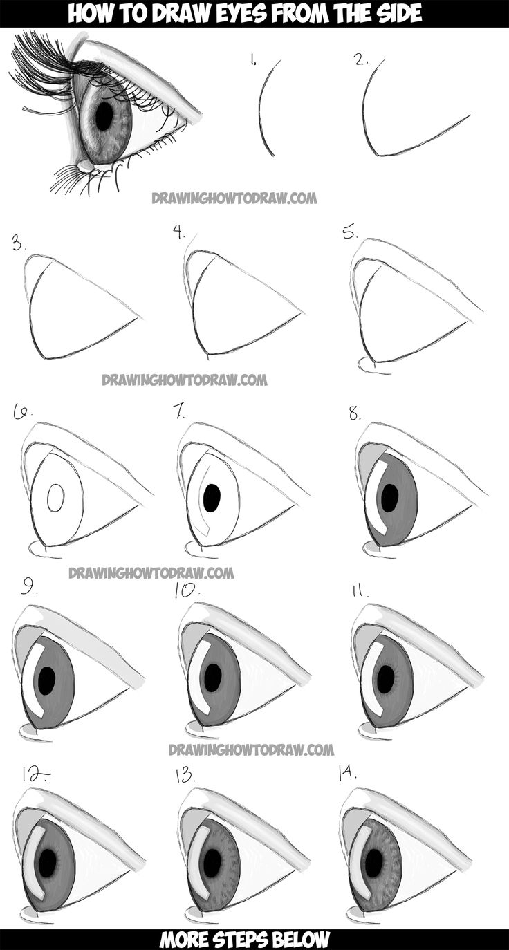 Pencil Sketch Step By Step At Paintingvalleycom Explore