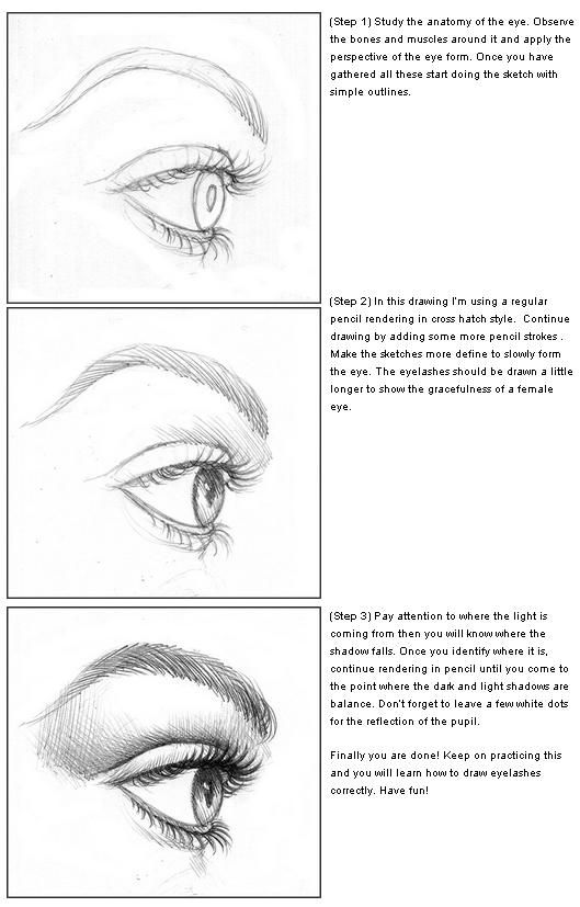 Pencil Sketch Step By Step at Explore collection