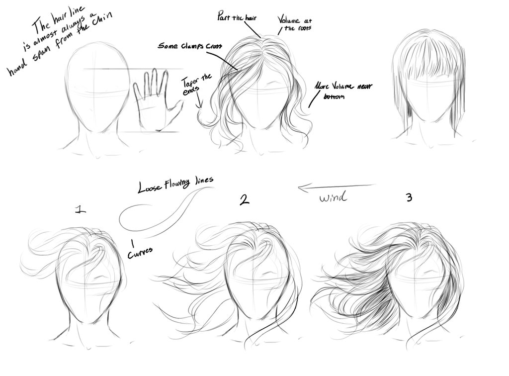 human sketch step by step