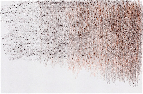 500x329 3 Ways To Capture Texture For Colored Pencil Drawings - Pencil Sketch Texture