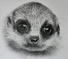 225x193 Detailed Pencil Drawings Of Animals And People By Doreen Cross - Pencil Sketches Of Animals