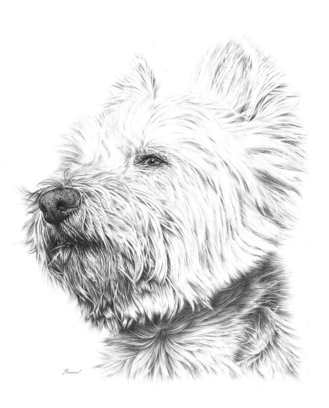 Pencil Sketches Of Animals at PaintingValley.com | Explore collection ...