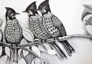 300x210 Pencil Drawing Of Birds Pencil Drawing Pictures Of Birds Pencil - Pencil Sketches Of Birds