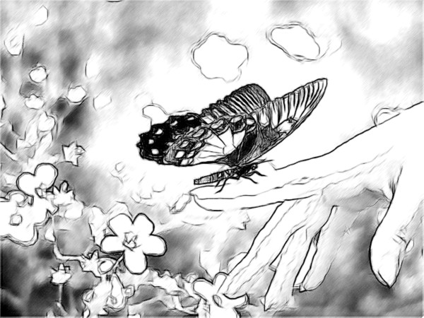 600x450 Drawn Pencil Nature - Pencil Sketches Of Nature