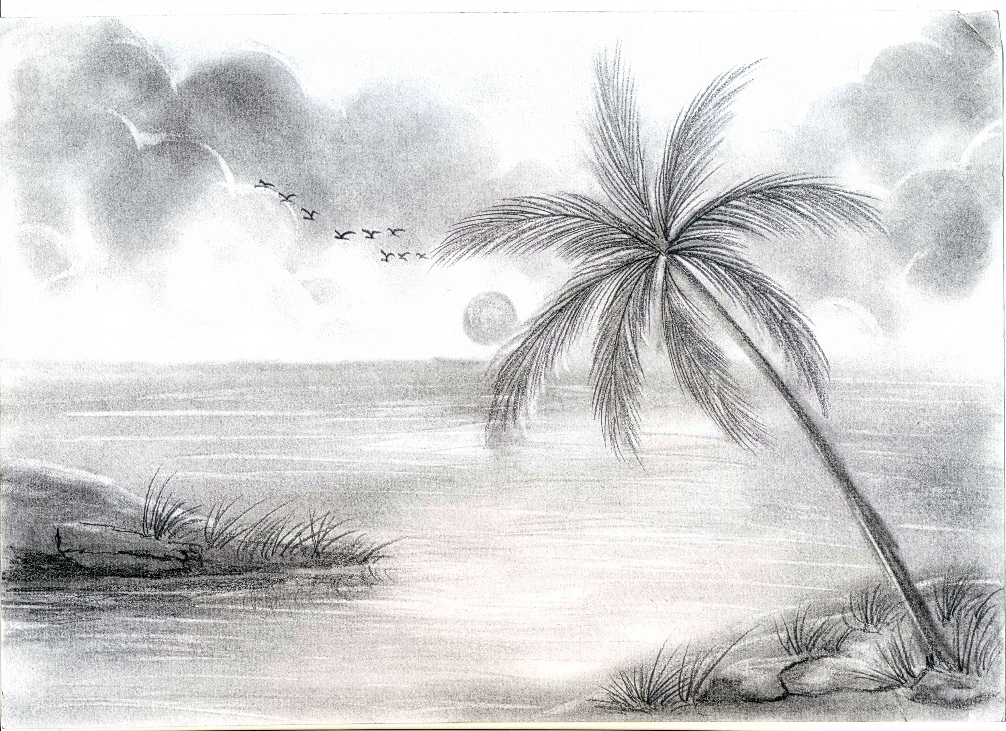 nature beautiful pencil drawing