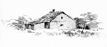 350x153 Pencil Sketching From Nature - Pencil Sketches Of Nature