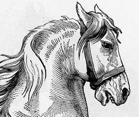 288x242 Learn To Draw Pencil Sketches Art For Beginners In Usa - Pencil Sketches Pics