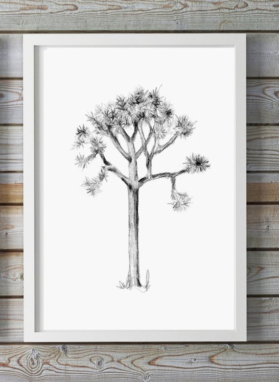 570x780 Joshua Tree Art Pencil Drawing Giclee Print Nature Etsy - Pencil Tree Sketches