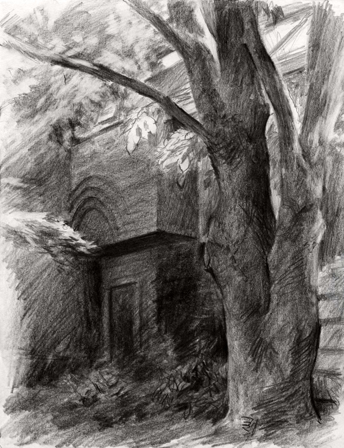 707x920 Pencil Sketching Tree Shadow By Jerrycai - Pencil Tree Sketches