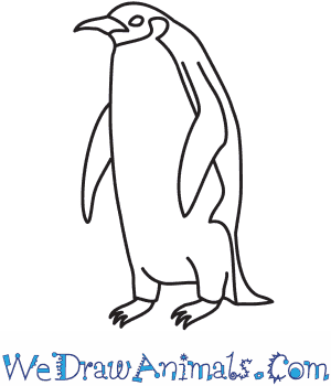 300x350 How To Draw An Emperor Penguin - Penguin Sketch