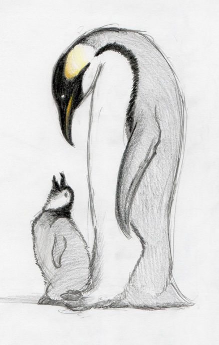 437x687 Penguin Sketch Tattoo Tattoo Inspiration Tattoos - Penguin Sketch