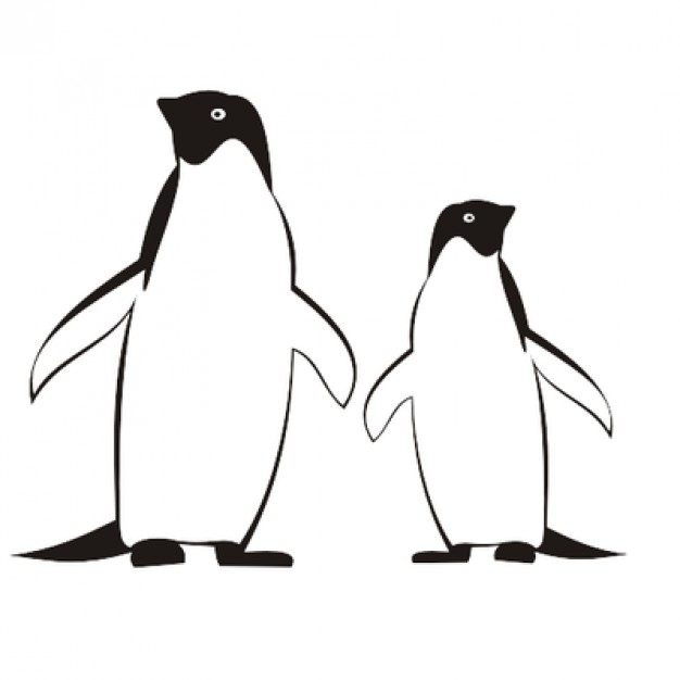 626x626 Couple Of Cute Penguins Sketch Illustration Vector Free Download - Penguin Sketch