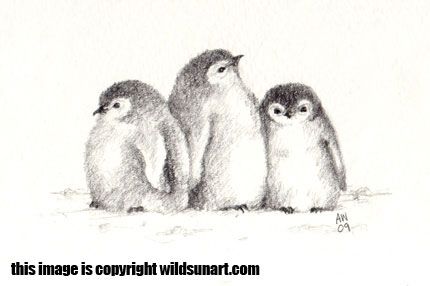 430x286 Pin By Adrianna Nowaczek On Tattoos Emperor - Penguin Sketch Drawings