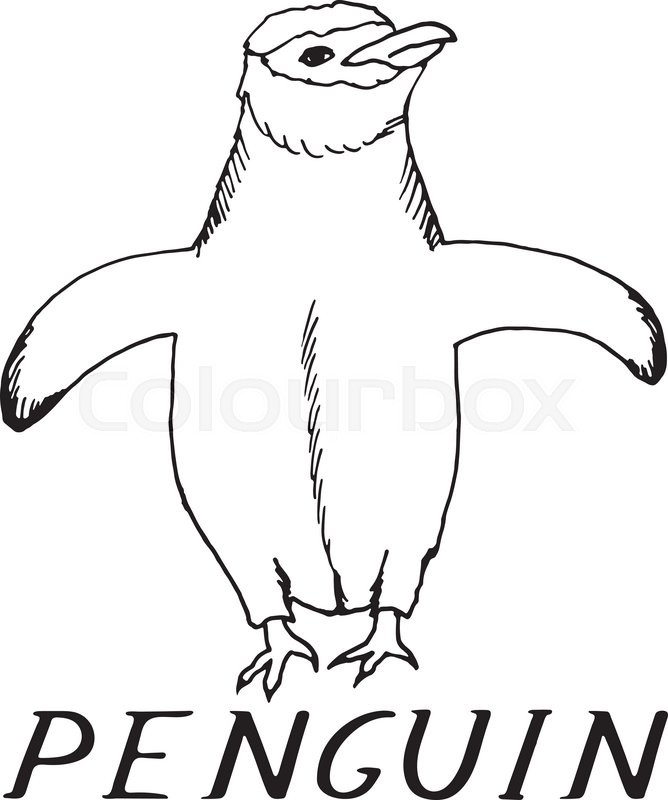668x800 Hand Draw A Penguin Style Sketch On A Black And White Background - Penguin Sketch Drawings