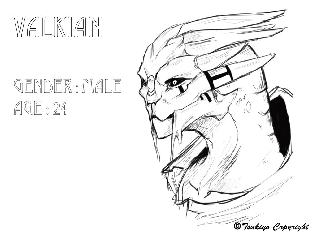 1024x766 Penny Board Drawing - Penny Board Sketch