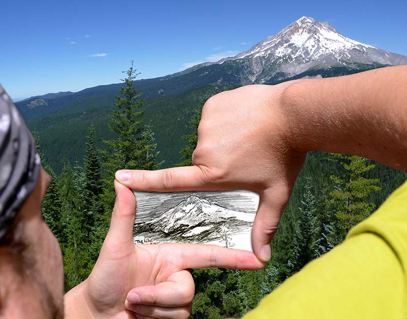 800x628 Pentalic Imagine The Possibilities - Pentalic Nature Sketch