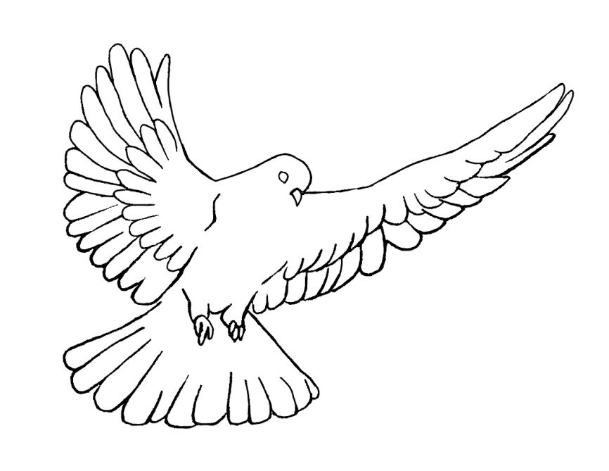 866x669 Dove Clipart Drawing Cute Borders, Vectors, Animated, Black And - Pentecost Sketch