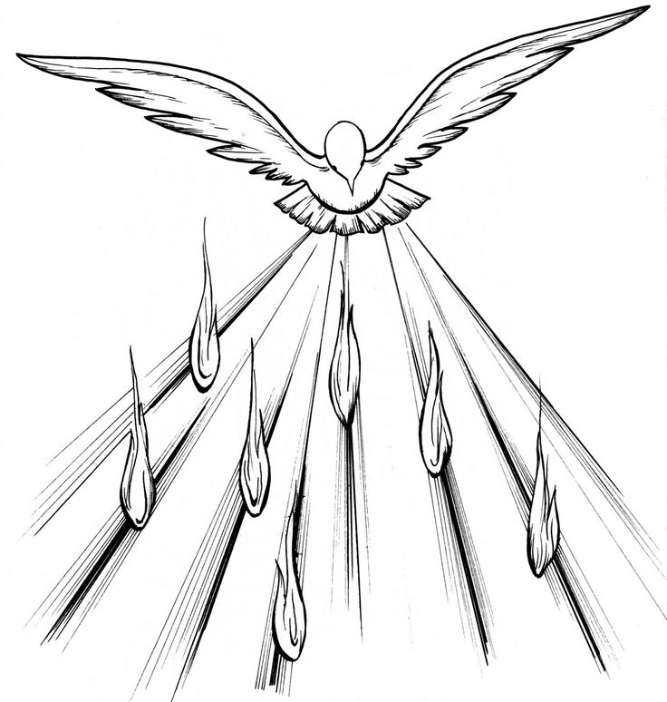 736x774 7 Quick Takes The Seven Sacraments Catholic Printing - Pentecost Sketch