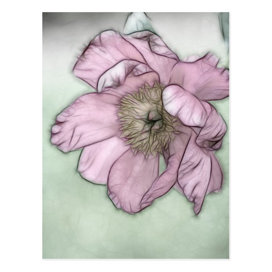 540x540 Pink Peony Flower Sketch Postcard - Peony Flower Sketch