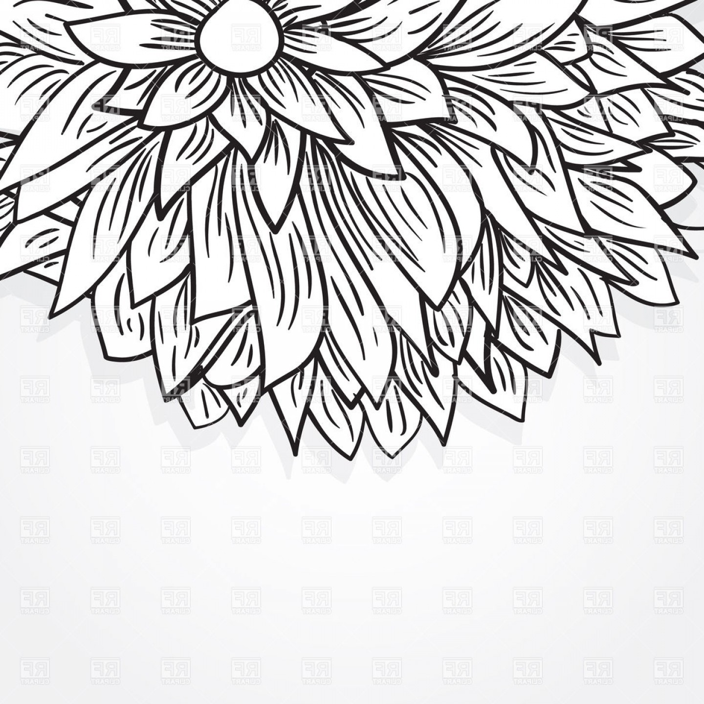 1440x1440 Black Sketch Peony Flower Vector Clipart Sohadacouri - Peony Flower Sketch