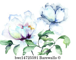 247x194 3,632 Peony Sketch Posters And Art Prints Barewalls - Peony Sketch