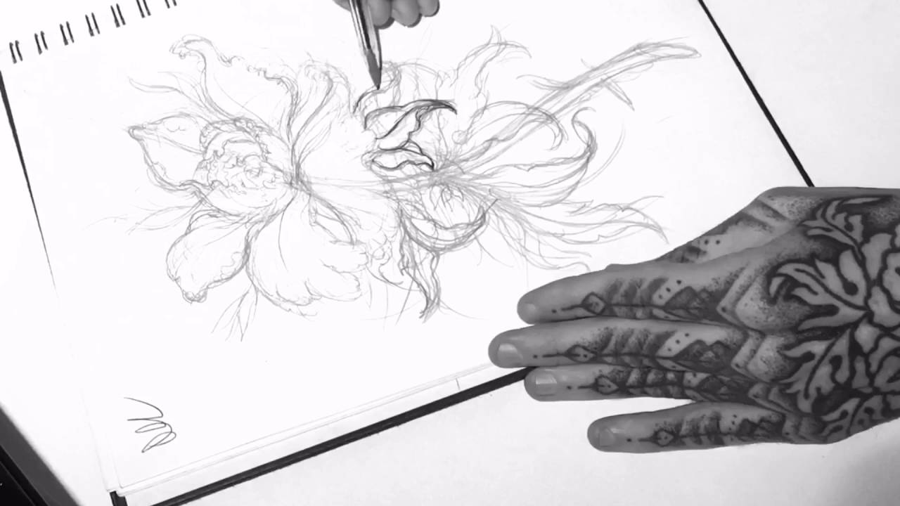 1280x720 Mister Paterson - Peony Sketch