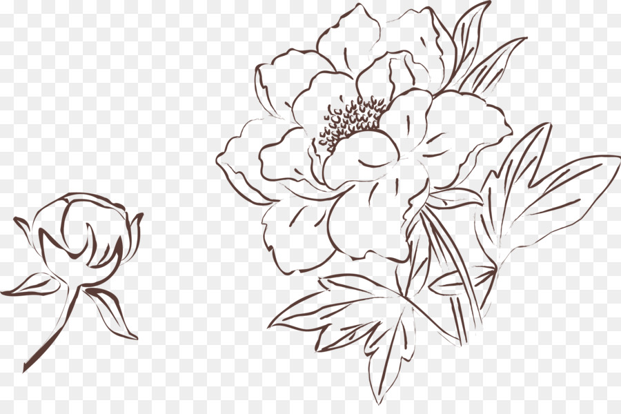 900x600 Moutan Peony Drawing Painting - Peony Sketch