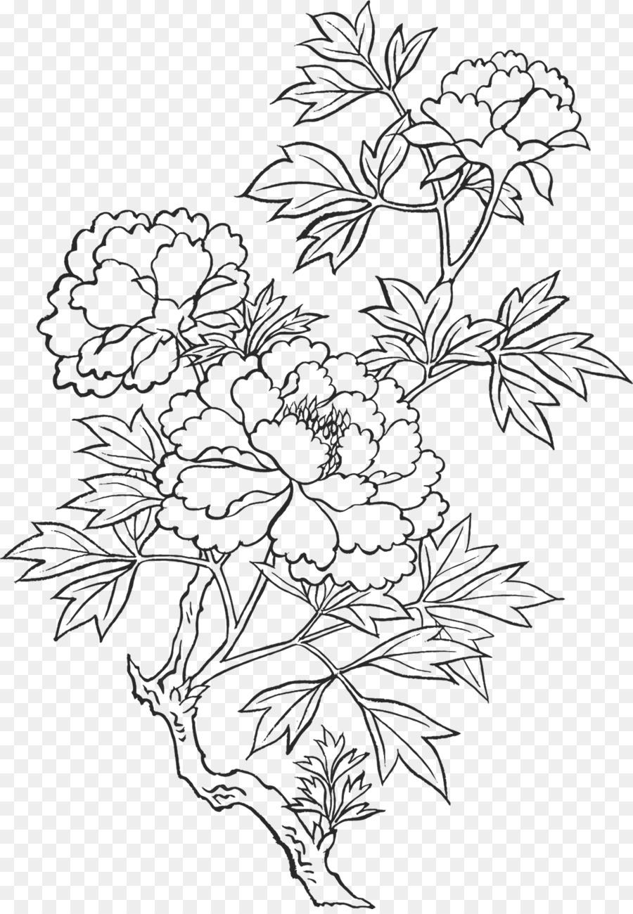 900x1300 Peony Drawing Art Sketch - Peony Sketch